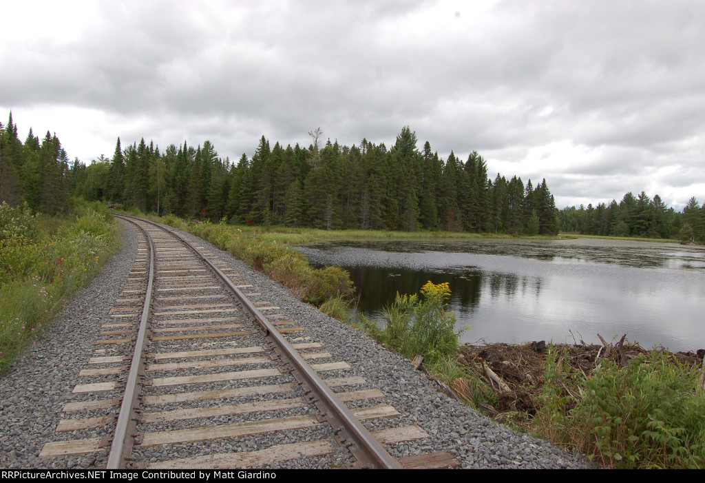 Looking North